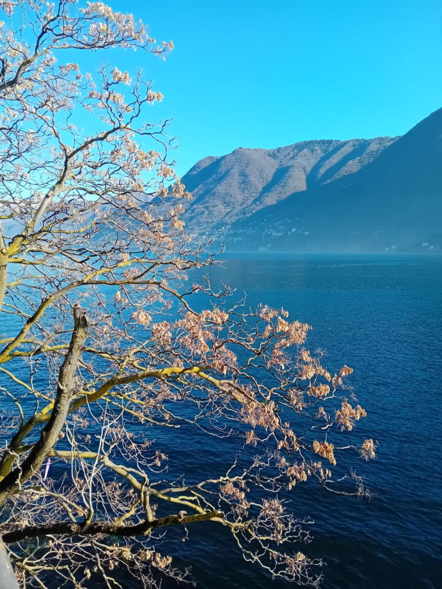 The Convo Lake Como Eksteriør bilde